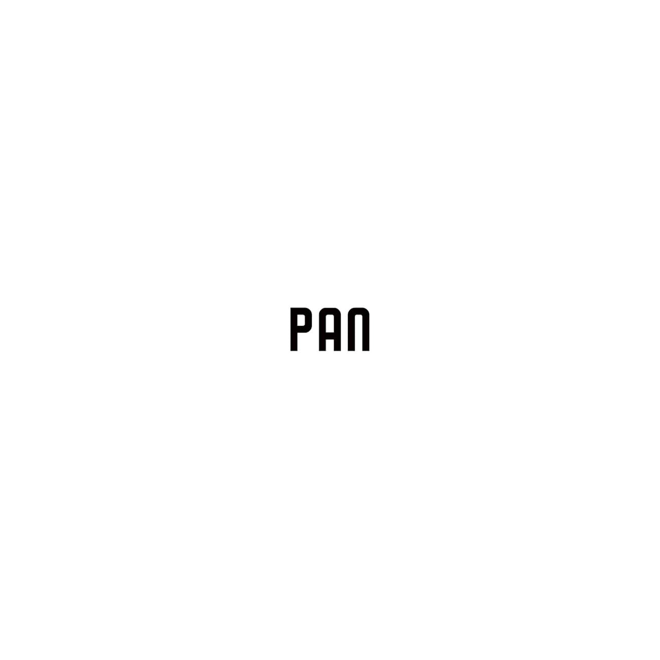 PAN ORIGINAL