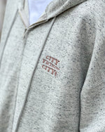 Load image into Gallery viewer, [CITY COUNTRY CITY] EMBROIDERED LOGO ZIP UP COTTON HOODIE - AH GRAY
