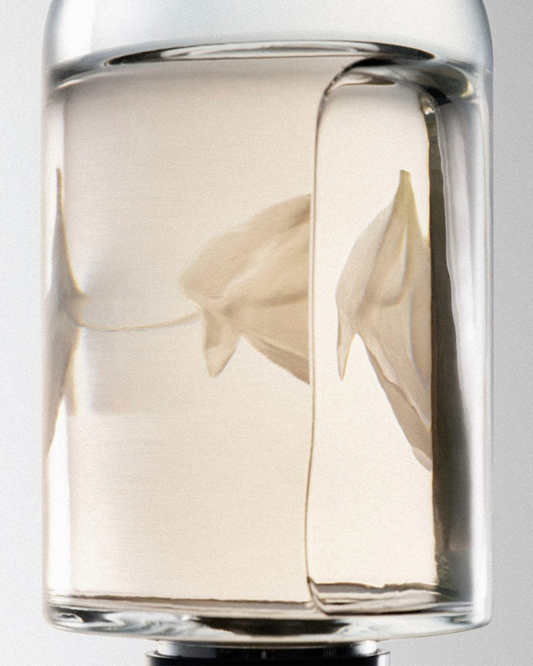 NONFICTION] DEW&LIGHT EAU DE PARFUM 50ml